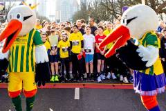 bhNN_CPCLoop_DenHaag105